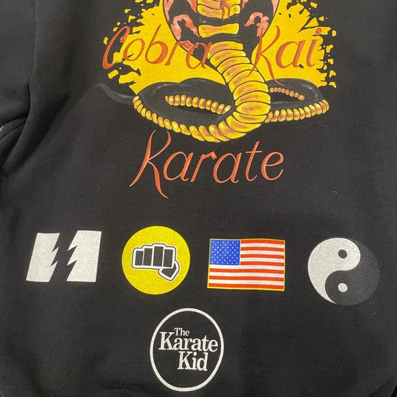 The Hundreds x Karate Kid Hoodie // Deadstock // Size S - Picture 6 of 10